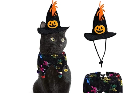 Pet Halloween costume gatto su amazon.com