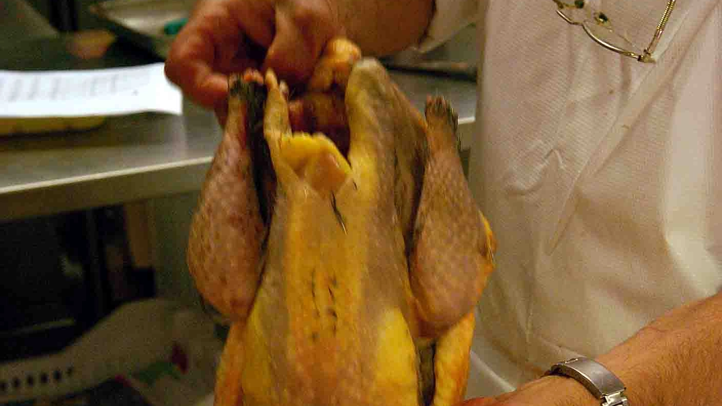 Non lavare il pollo prima di cucinarlo, studio Usa(Businesspress)