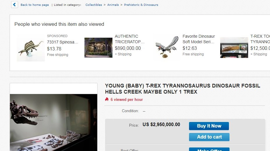 Su eBay un baby T-Rex all'asta