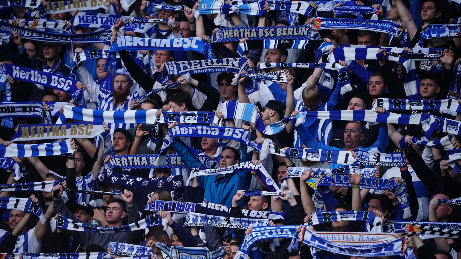 I tifosi dell'Hertha Berlino (Ansa)