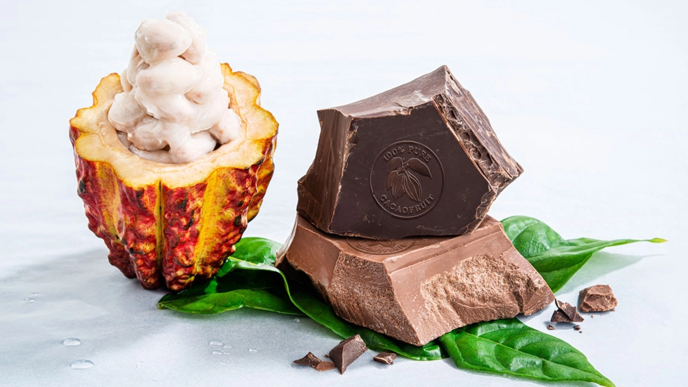 Il cioccolato che non spreca niente del frutto del cacao - Foto: barry-callebaut.com