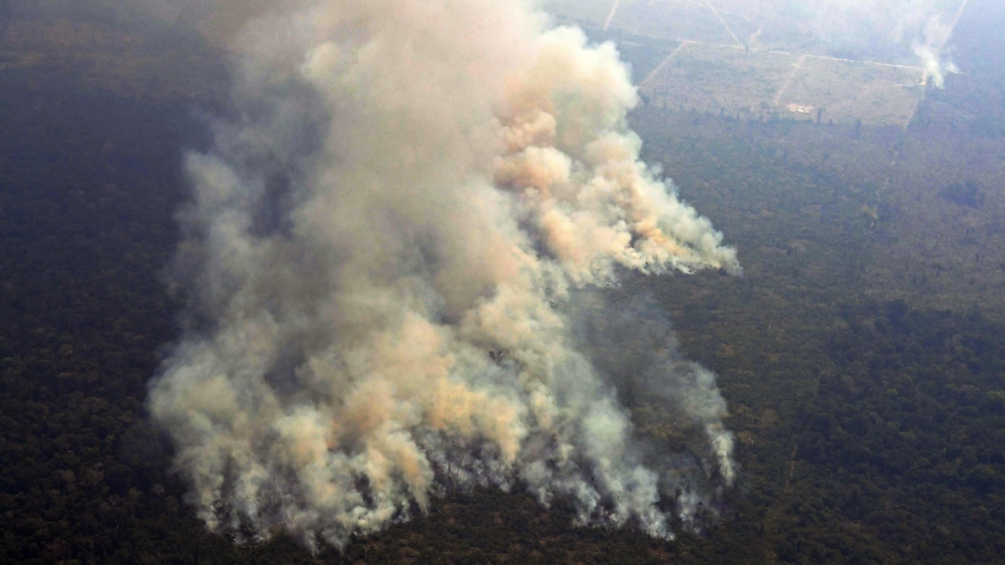 La foresta amazzonica divorata dalle fiamme (AFP)