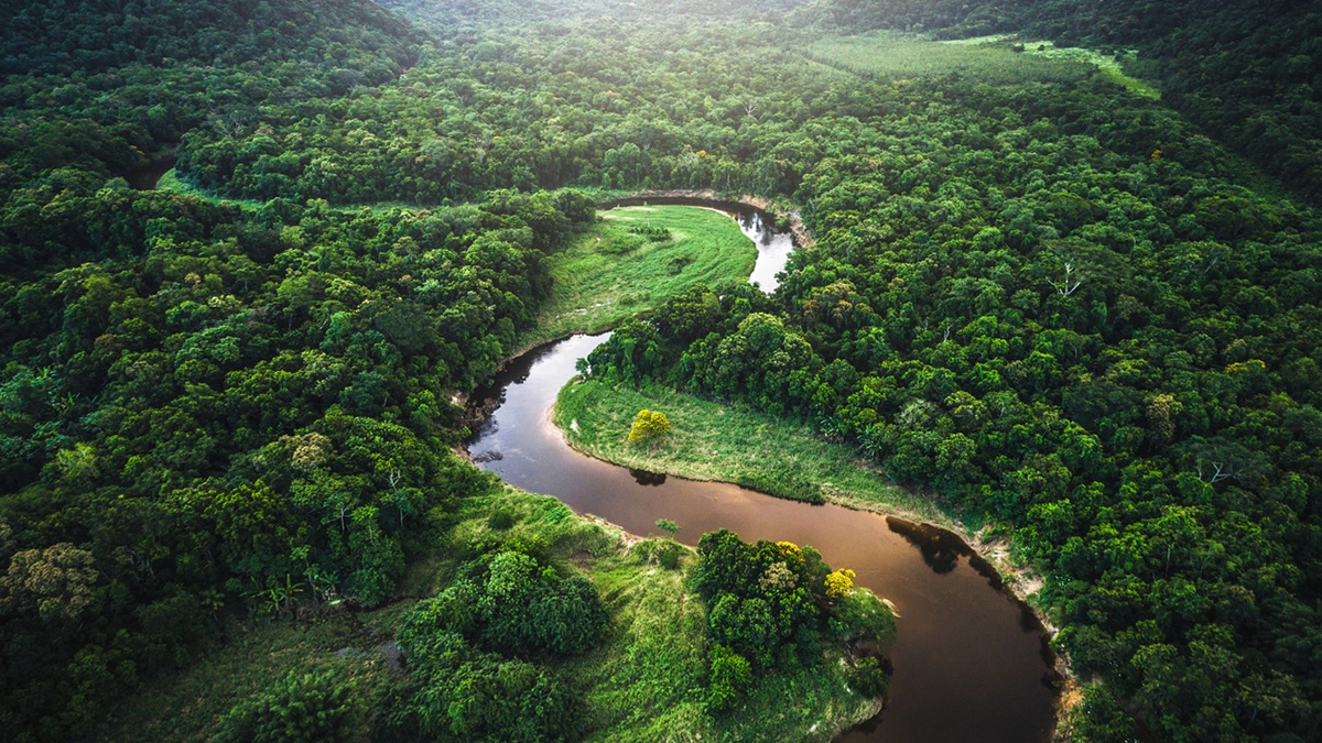 Brasile, foresta amazzonica