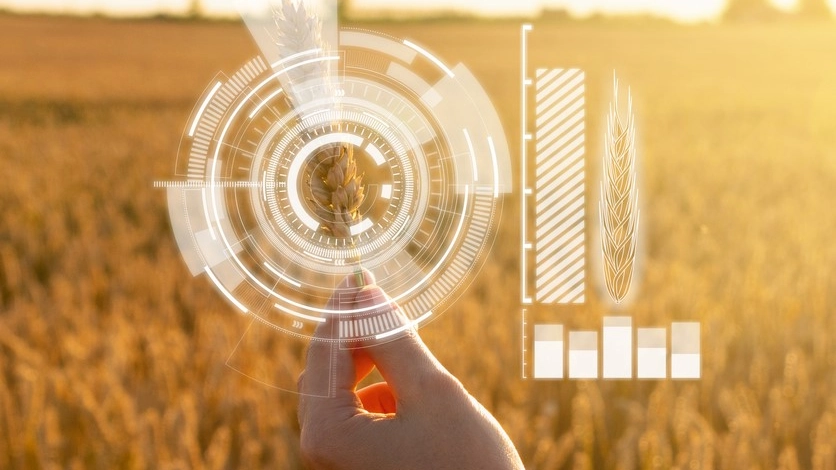 Futuro / Il comparto agroalimentare italiano dice sì al digitale