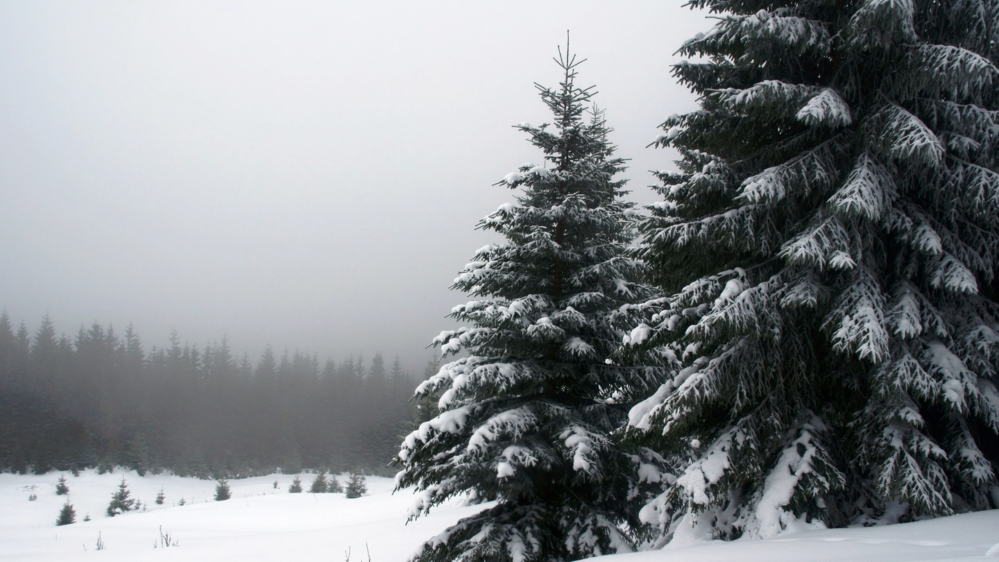 Previsioni meteo: sta per tornare la neve in montagna (foto iStock))