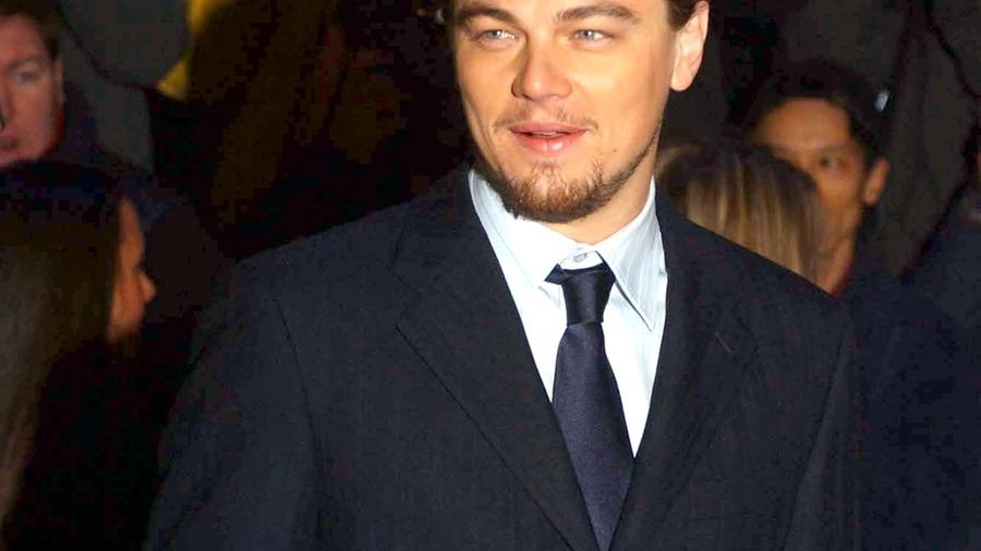 Leonardo di Caprio (Ansa)