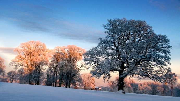 Oggi è il giorno del solstizio d'inverno - Foto: Jim Gibson / Alamy
