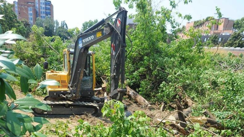 In Valtenna dovranno essere abbattuti circa 2.500 alberi (foto d’archivio)