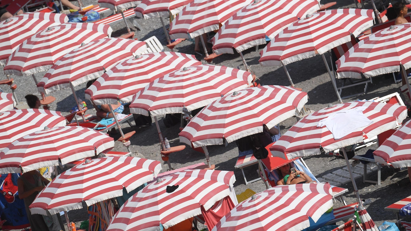 Fila di ombrelloni in Liguria