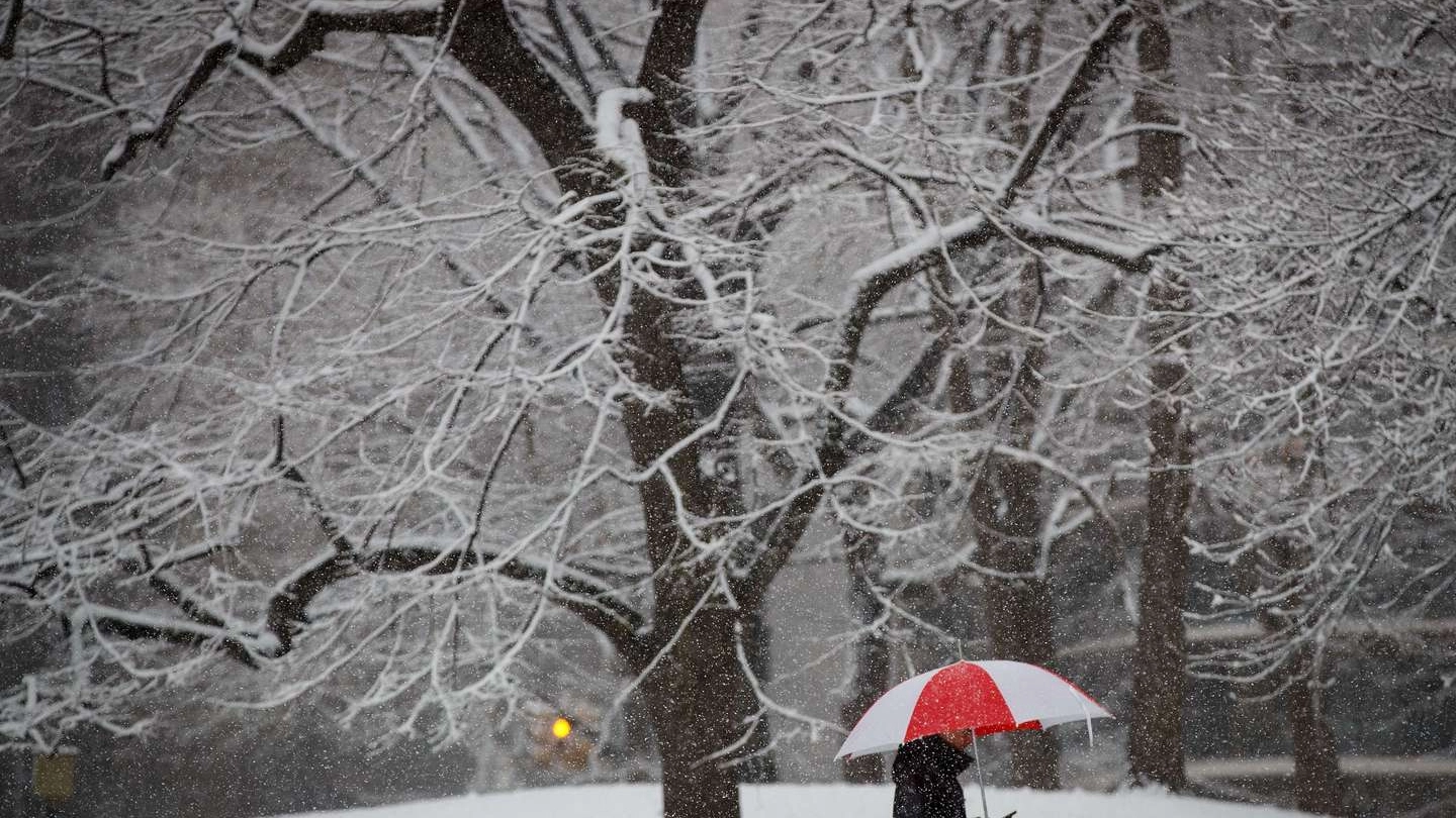 New York, Central Park sotto la neve (Afp)