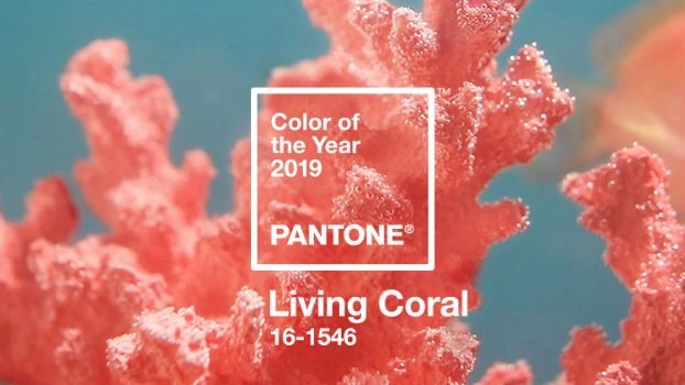 Living Coral, colore dell'anno 2019