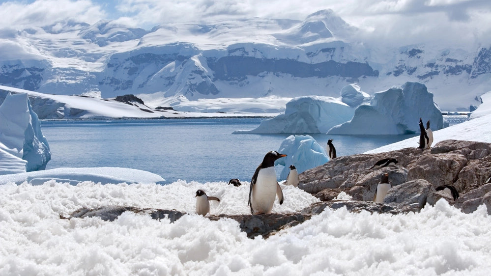 In missione di Antartide con Airbnb
