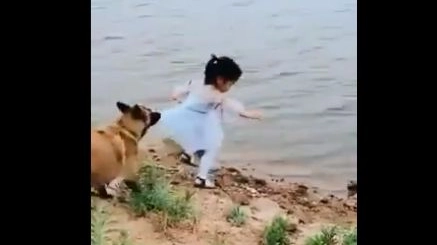 Il cane salva la bambina (twitter.com/OrgPhysics)
