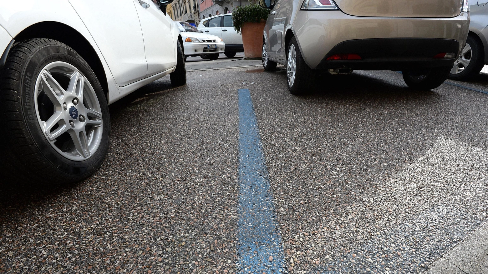 Napoli, calci e pugni contro l'auto: parcheggiatore abusivo arrestato