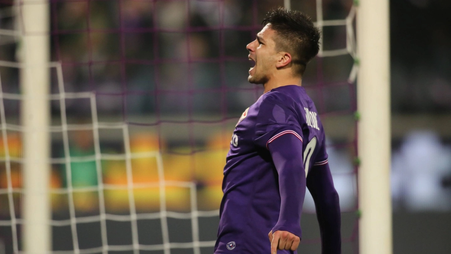 Fiorentina-Inter, 1-1 di Simeone (foto Germogli)