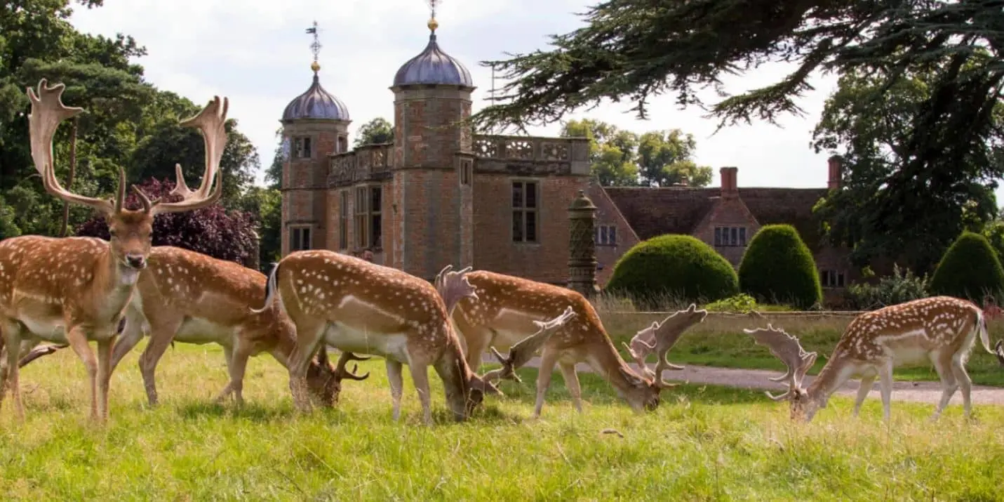Stratford-upon-Avon: 10 cose da fare nella città di Shakespeare
