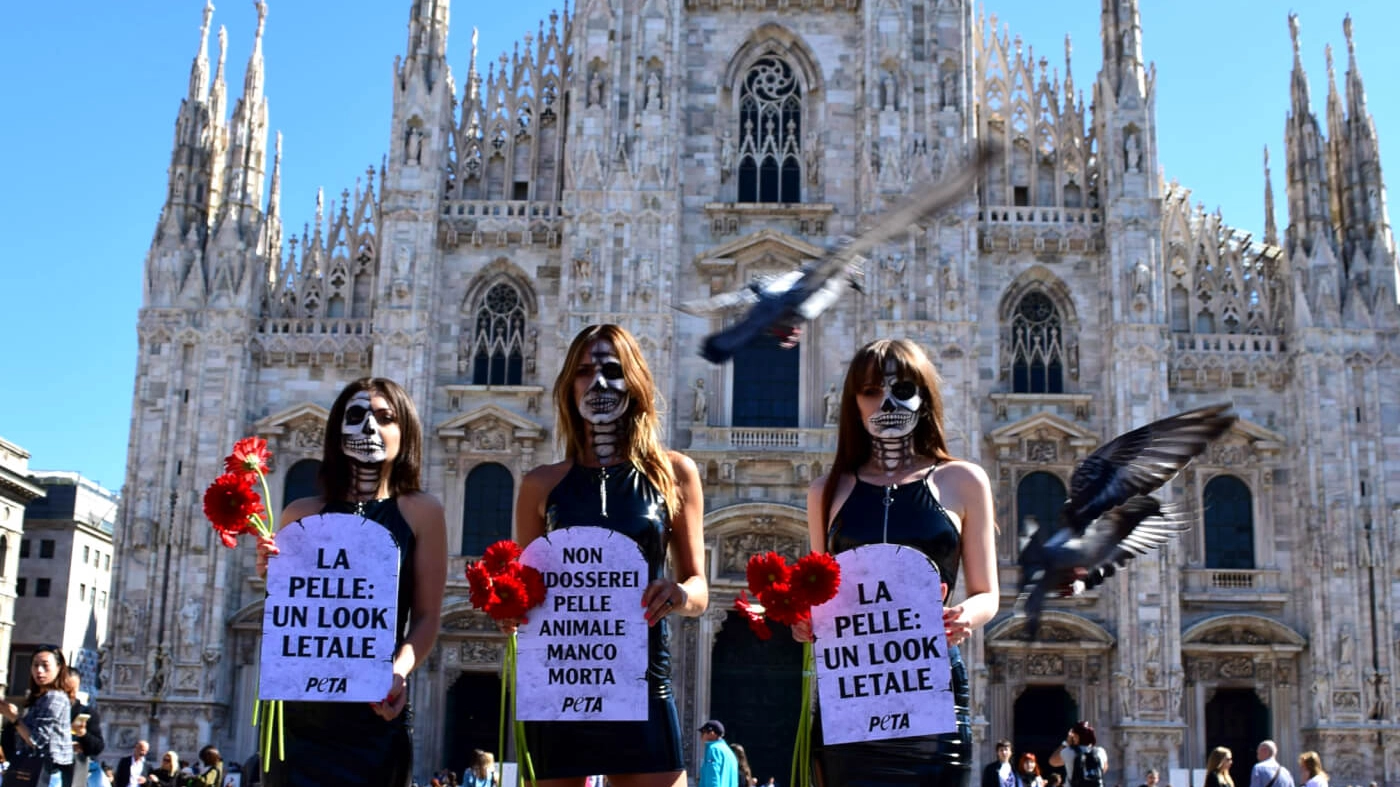 Protesta della Peta a Milano