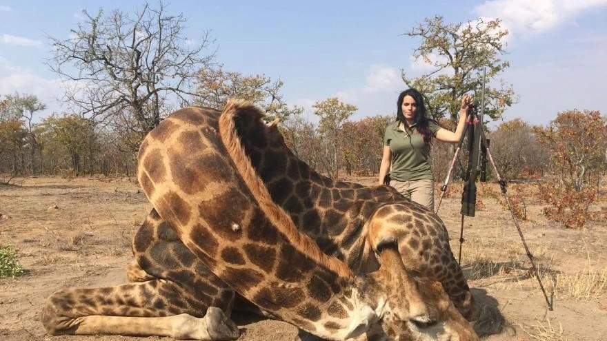 La cacciatrice italo-americana con una giraffa uccisa (Foto Ansa da Facebook)