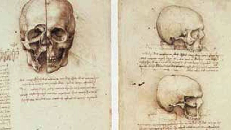Studi d’avanguardia sul cranio umano