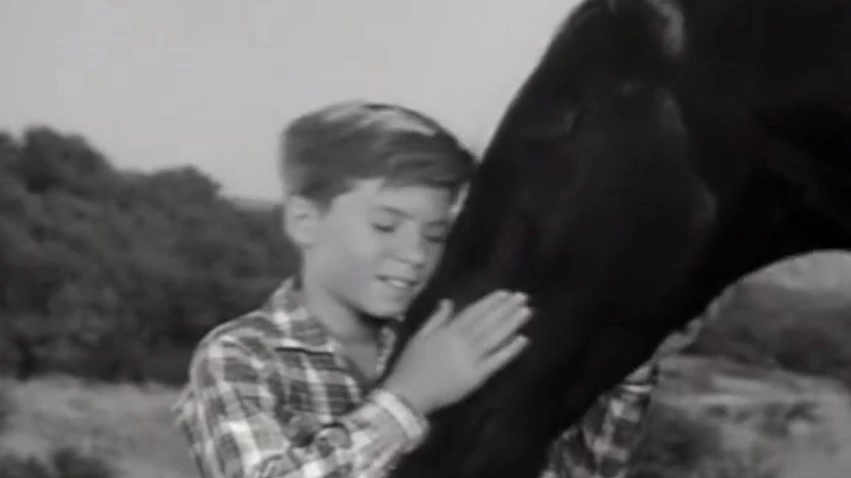 Bobby Diamond in un frame del telefilm 'Furia'