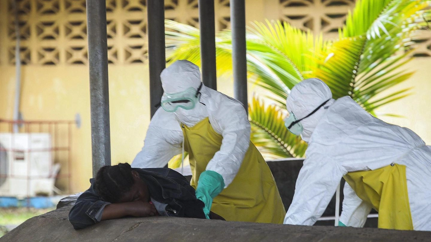 Liberia, epidemia di ebola senza controllo (Ansa)