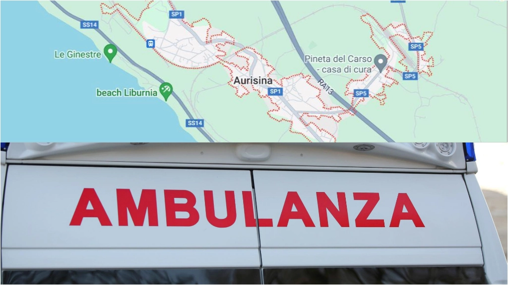 Nuovo giallo a Trieste: cadavere senza testa e smembrato scoperto nel Carso