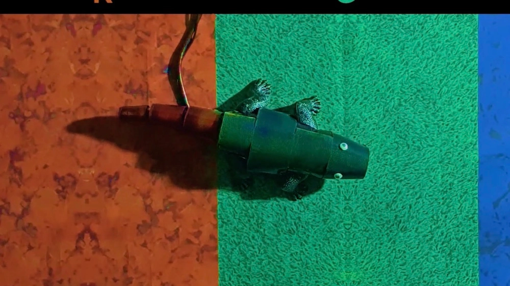 Ecco come reagisce al colore il robot camaleonte coreano