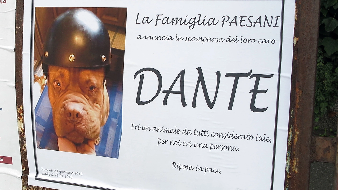 Rimini, annuncio funebre per Dante (Pasqualebove)