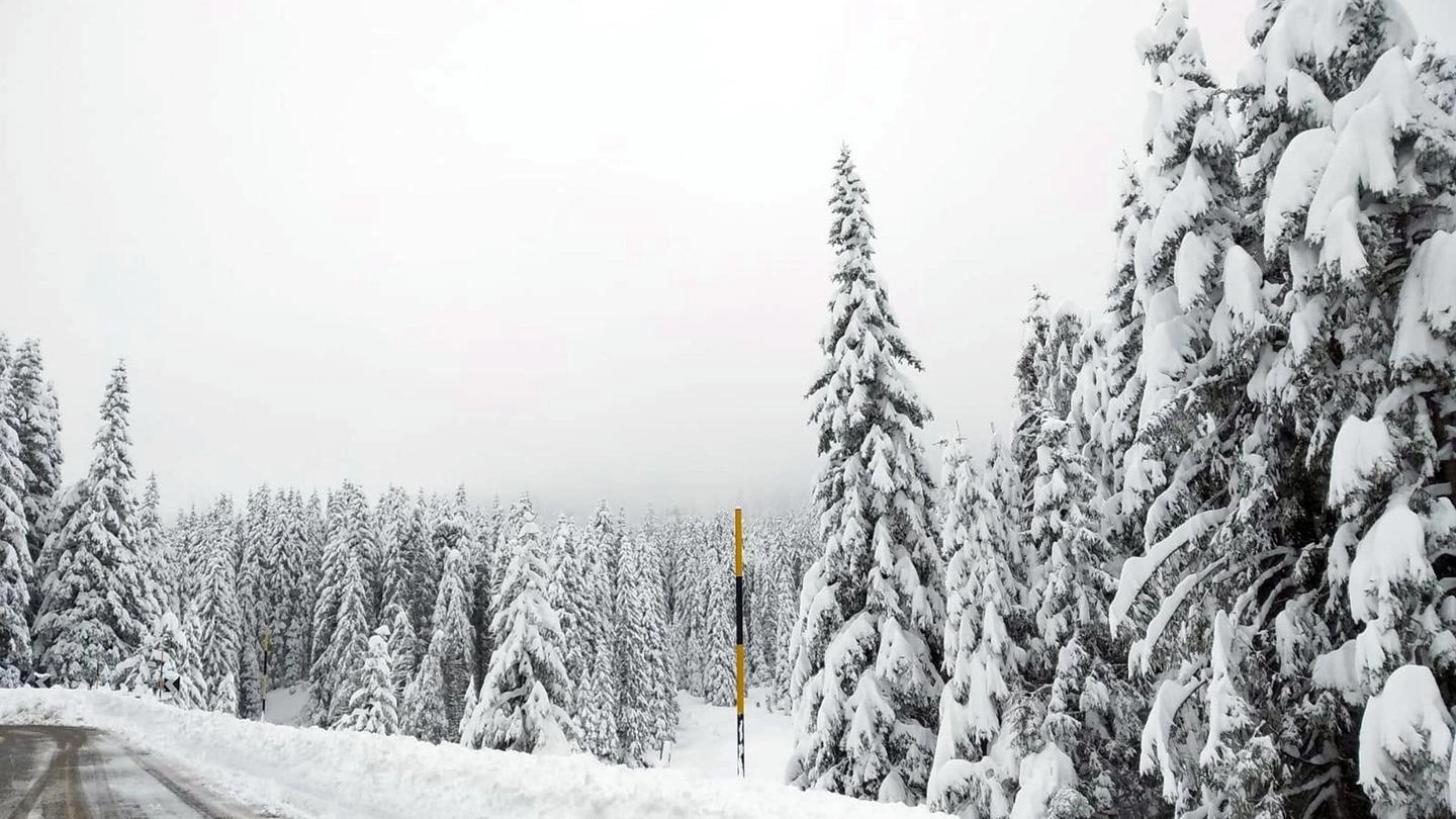 Meteo, la neve al Passo Rolle in Trentino Alto Adige il 29 aprile (foto Ansa)