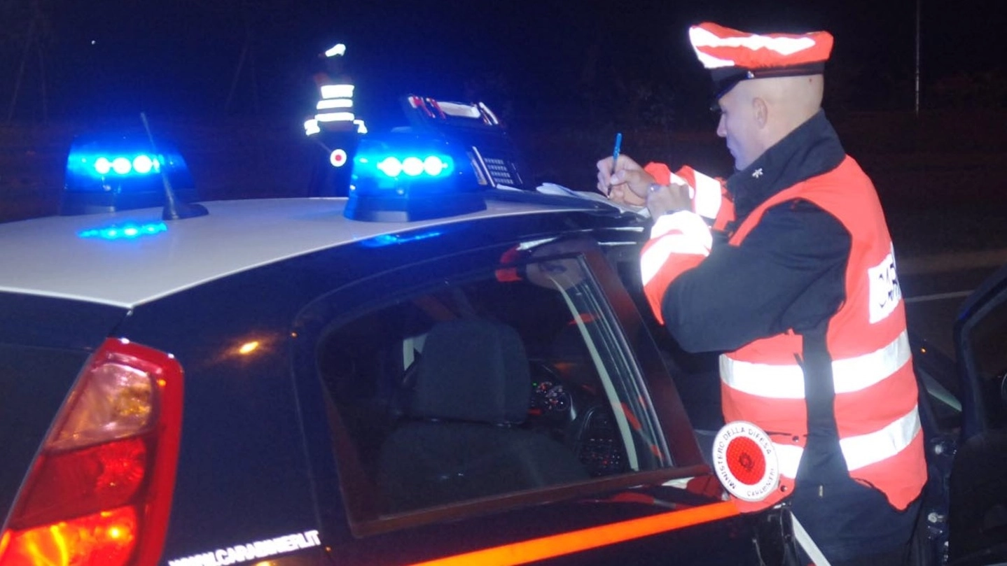 Le auto rubate sono state trovate dai carabinieri
