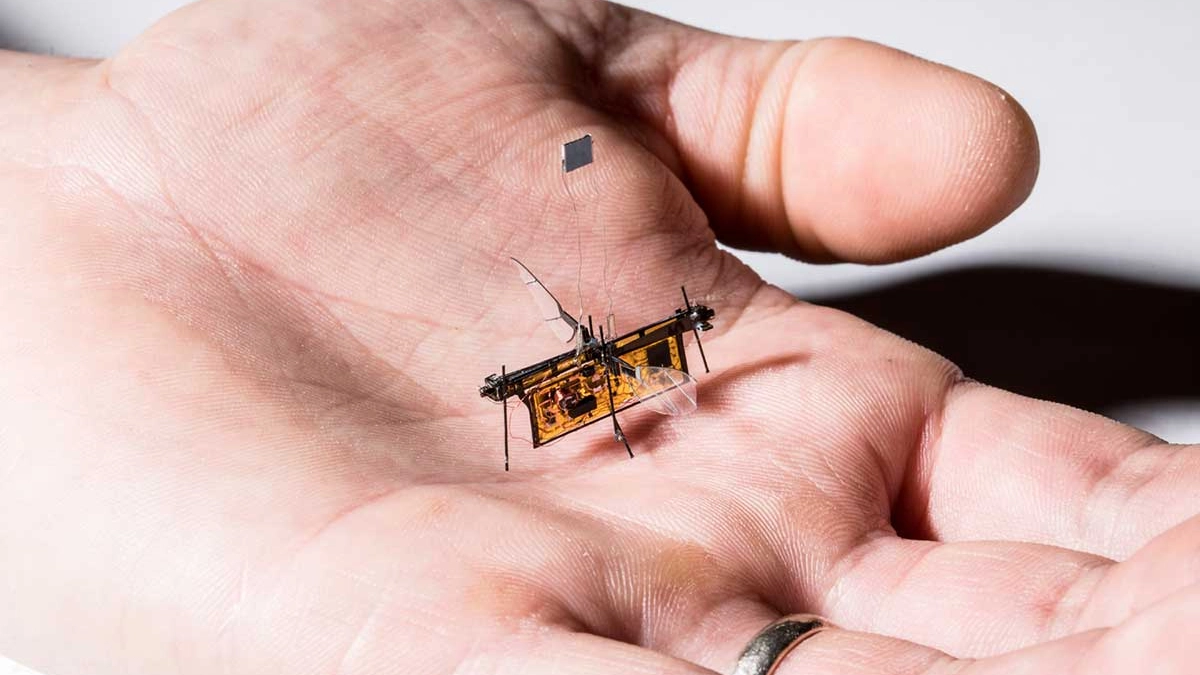 Robot o mosca? (Foto: Mark Stone/University of Washington)