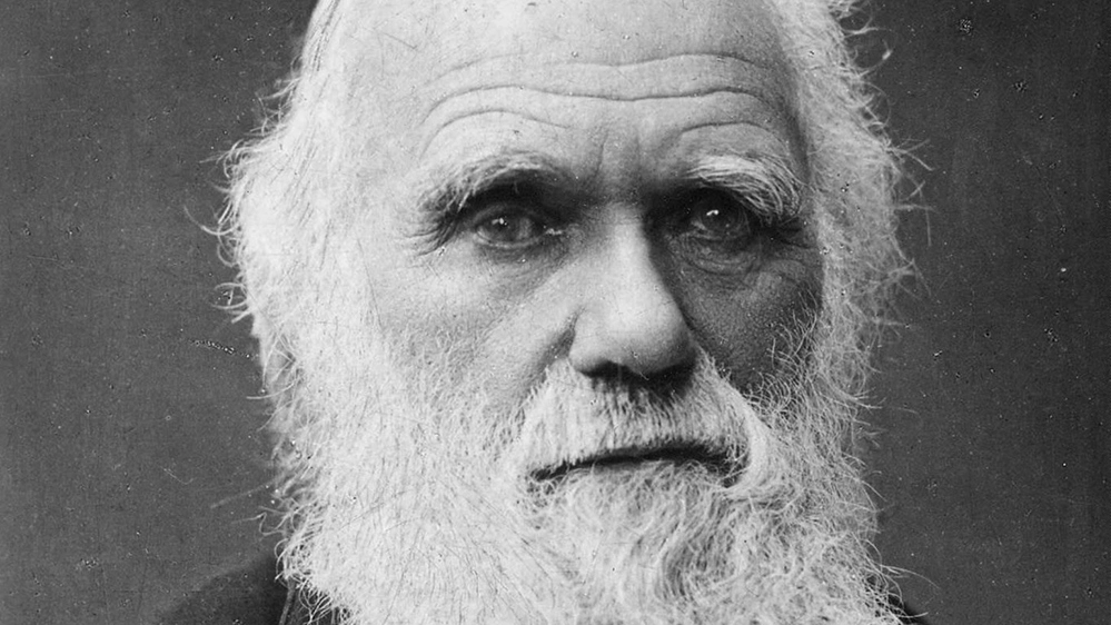 I quaderni perduti di Darwin sono tornati a casa - Foto: ANSA/EPA/RICHARD MILNER