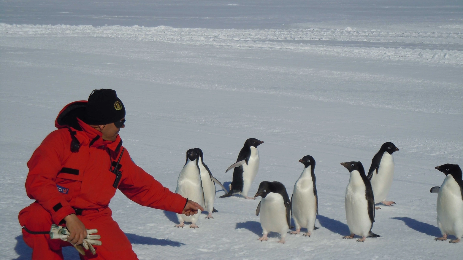 Giuseppe Tangari con i pinguini in Antartide (Frascatore)