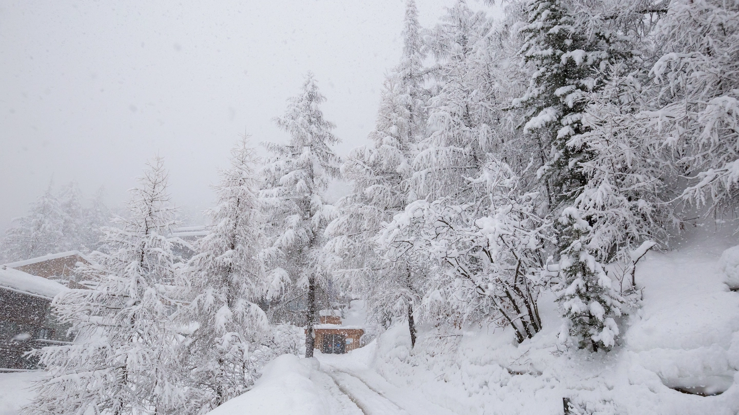 Previsioni meteo, neve sulle Alpi (Istock)