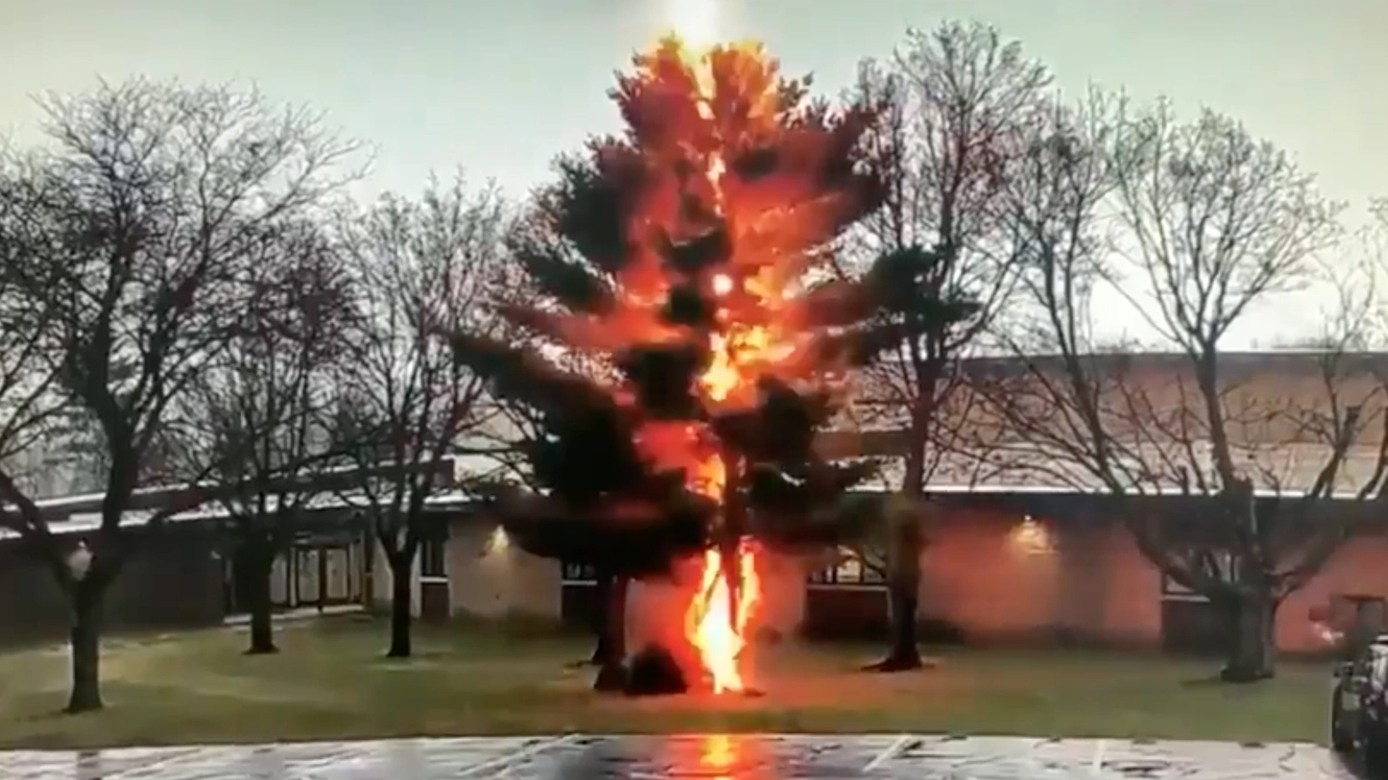 Usa: un fulmine prende in pieno un albero in Wisconsin