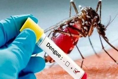 Un prelievo di sangue può stabilire se i sintomi sono legati al virus Dengue