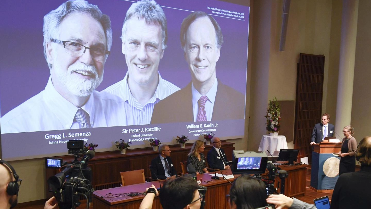 A Gregg L. Semenza, Peter J. Ratcliffe e  William G. Kaelin il Nobel in Medicina (Ansa)