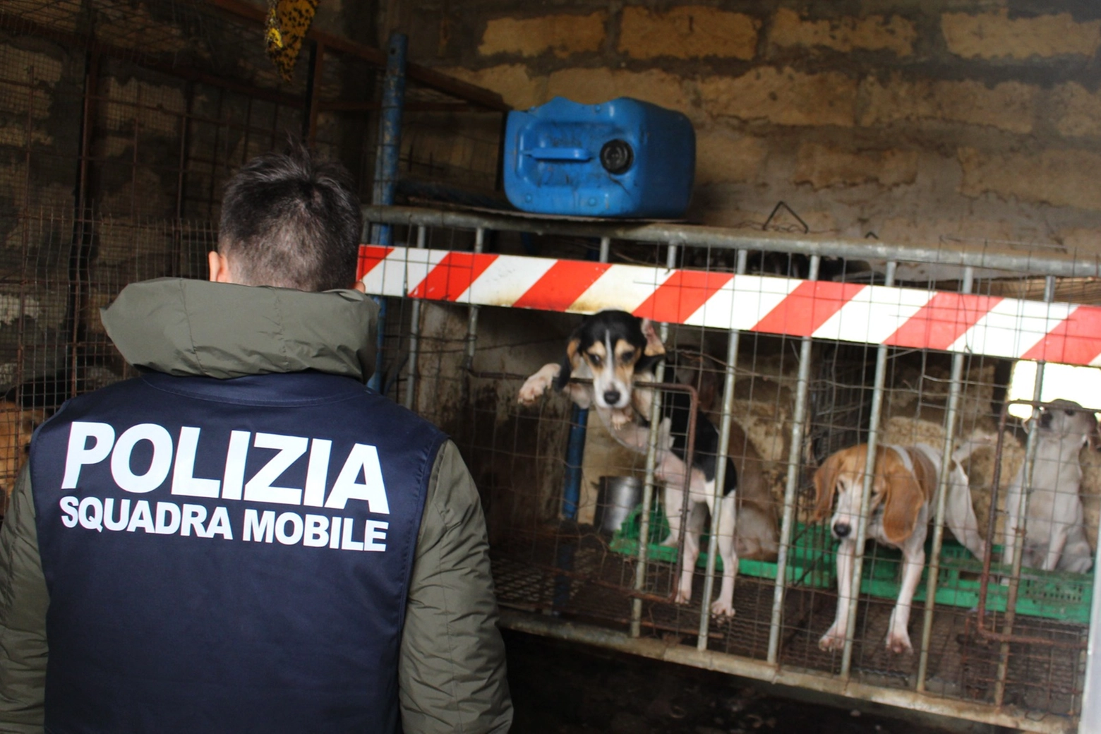 Cani denutriti e maltrattati scoperti dalla polizia a Niscemi (Caltanissetta)