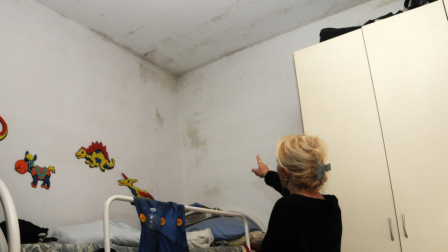 Paola Berra indica le macchie sui muri in camera