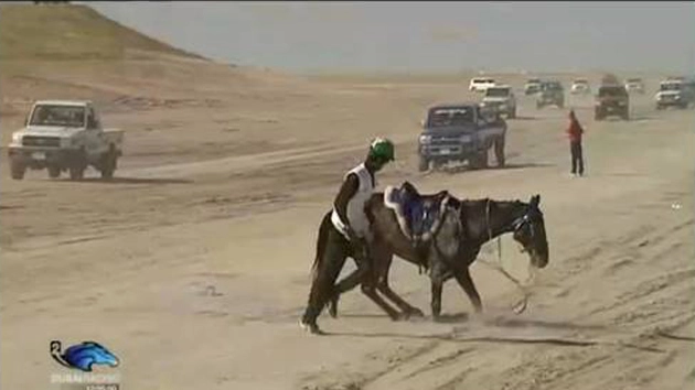 Il cavallo infortunato ad Abu Dhabi