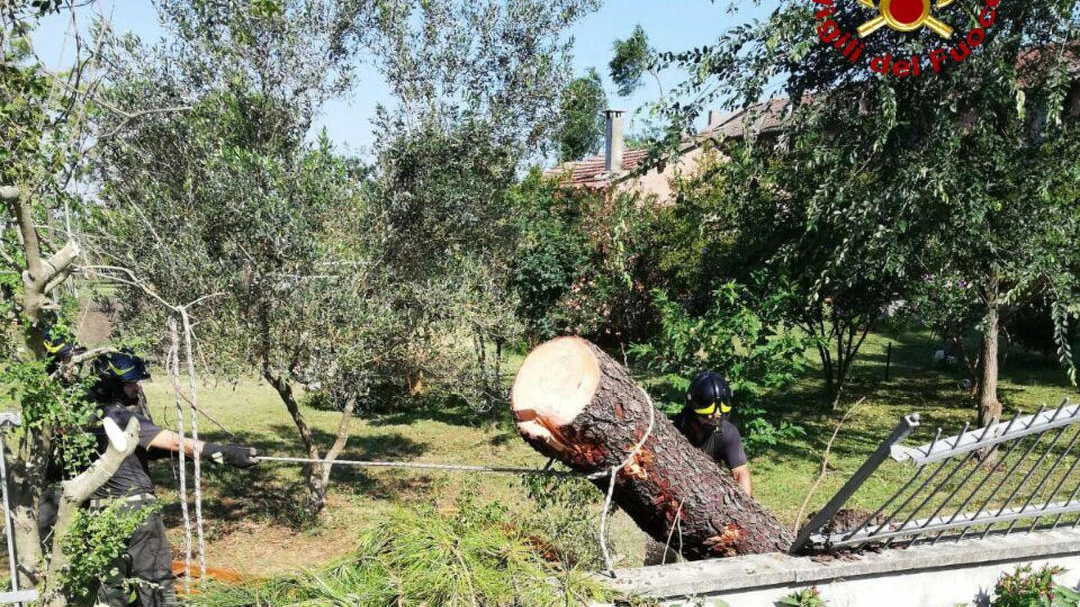 I danni provocati dalla tempesta abbattutasi nel Ferrarese (Ansa)
