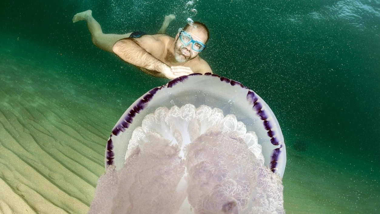 L'incontro tra una bagnante e una grande medusa (Ansa)