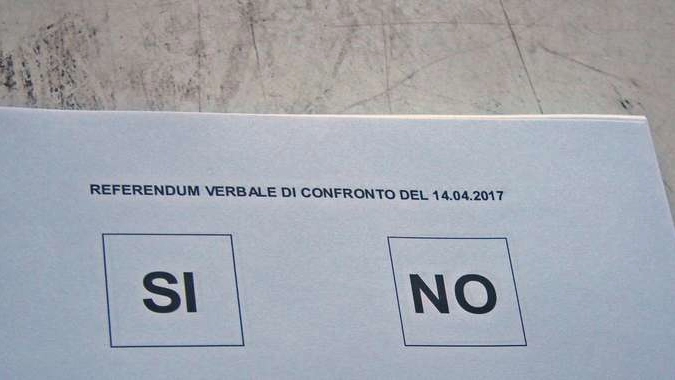 Alitalia: chiusi seggi referendum