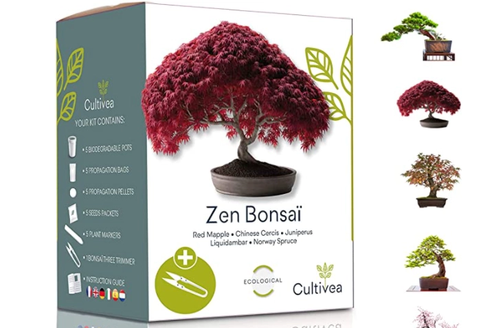 Cultivea Mini - 5 Bonsai Kit su amazon.com