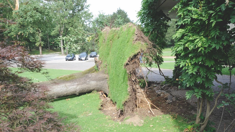 Golf Milano alberi caduti