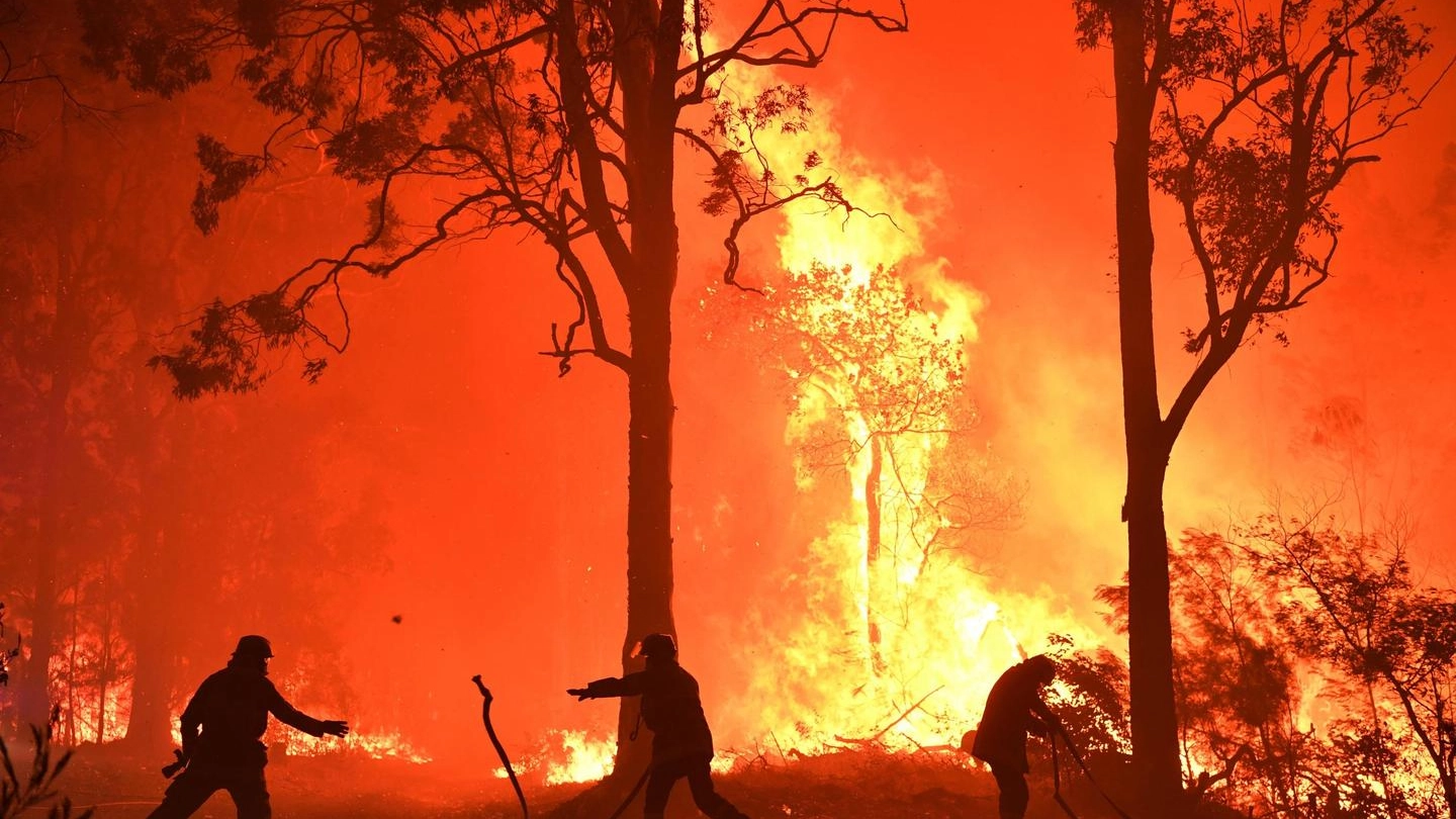 Incendi in Australia, bruciano le foreste (Ansa)