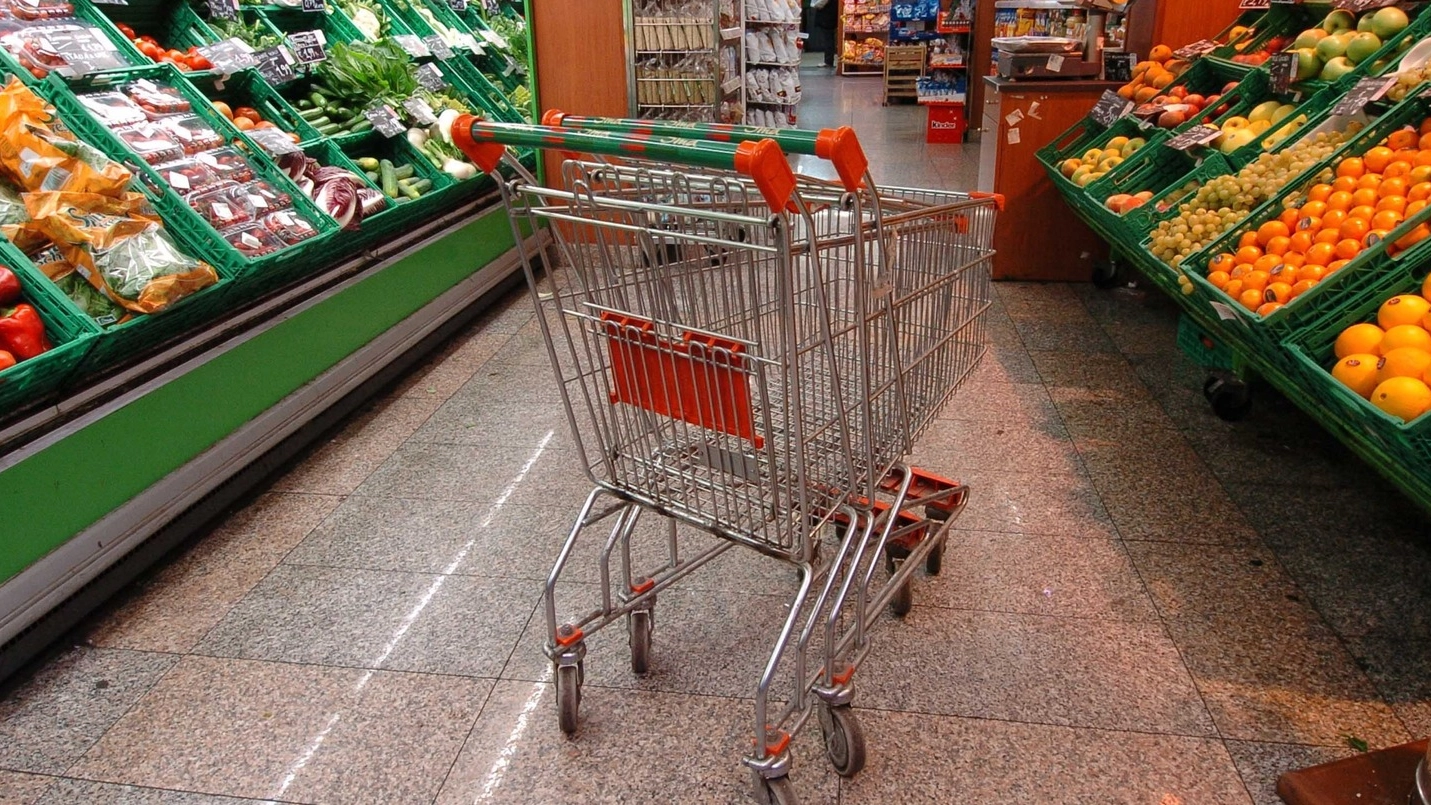 Un carrello della spesa in un supermercato (Foto di repertorio Ansa)