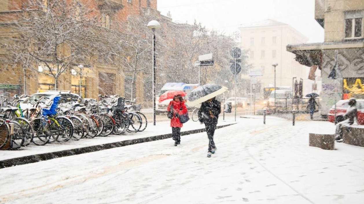 Meteo, la neve a Bologna il 13 dicembre 2019 (foto Schicchi)