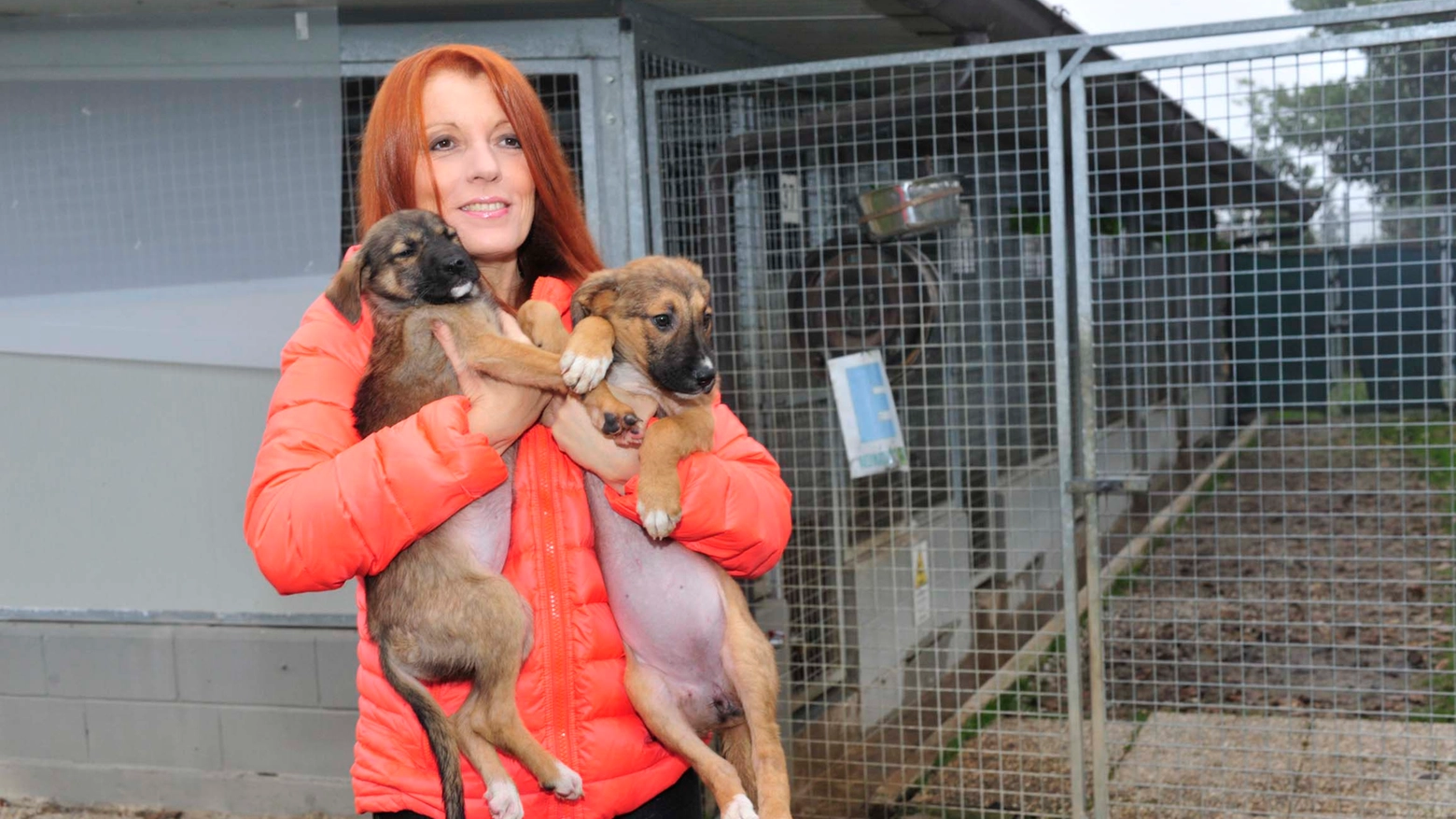 Michela Vittoria Brambilla con due cuccioli salvati