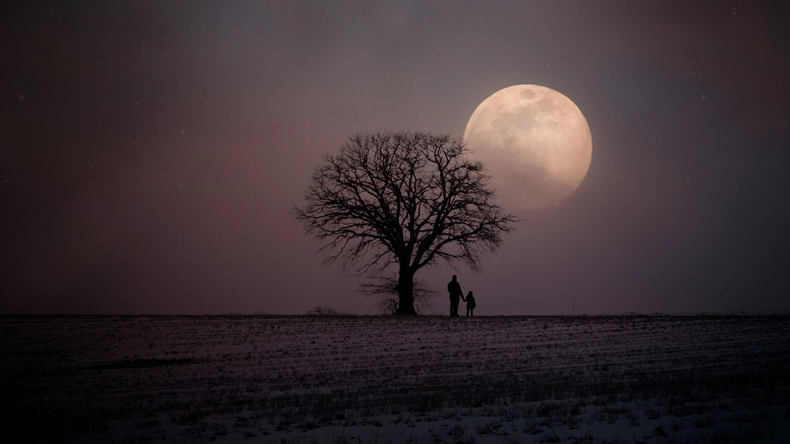 Luna piena in inverno